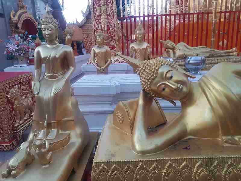 Several gold Buddha statues